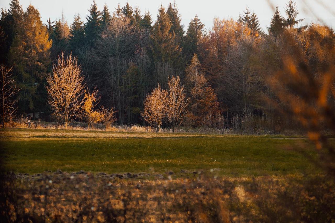 Chata U Tesaku Villa Rajnochovice Exteriör bild